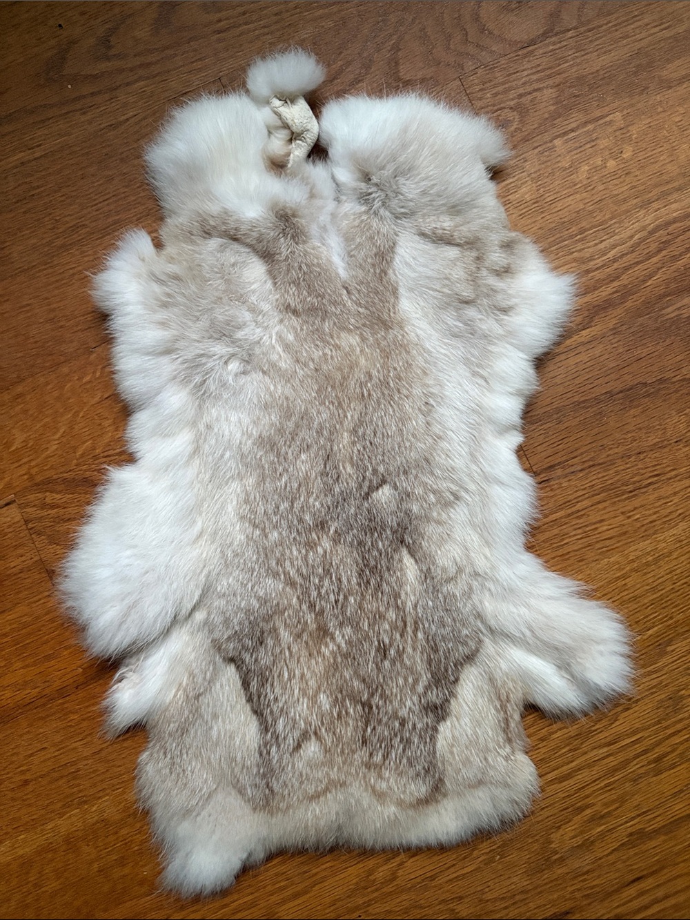B0229 rabbit pelt craft supply